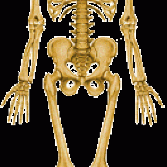 Avoir des Os solides