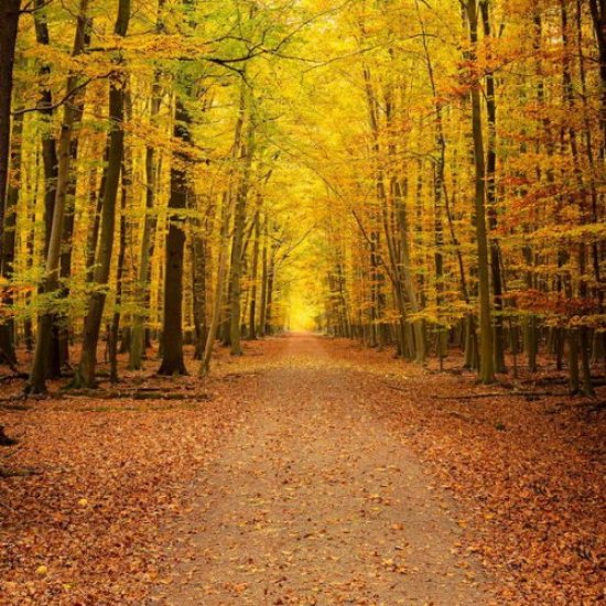 Conseils santé d'octobre