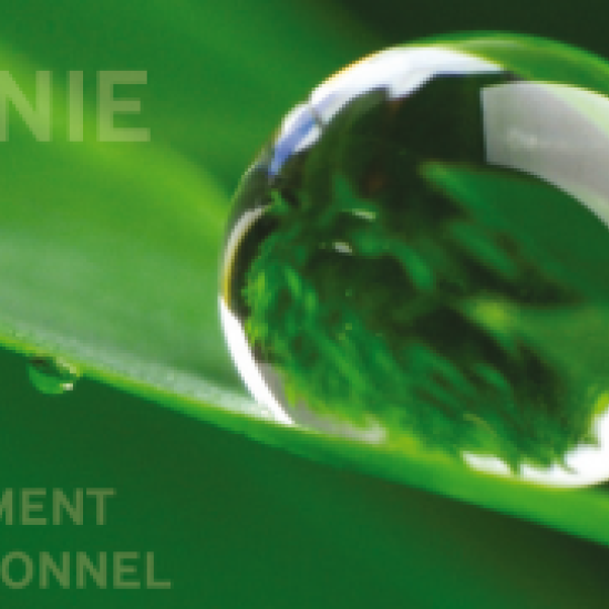 Formules globales pour suivi régulier