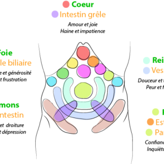 Le Chi Nei Tsang : l’art du massage viscéral