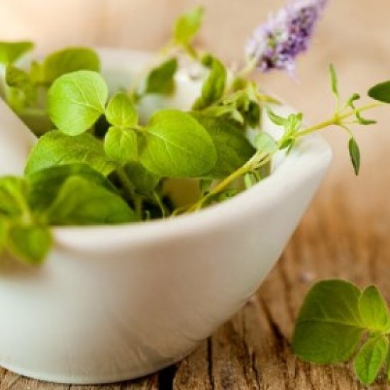 Phytothérapie, revenons aux valeurs sûres