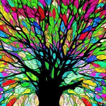 Formation Aromathérapie Energétique