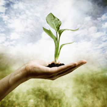 Formation Initiation à la Naturopathie