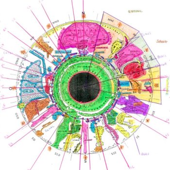 L'Iridologie