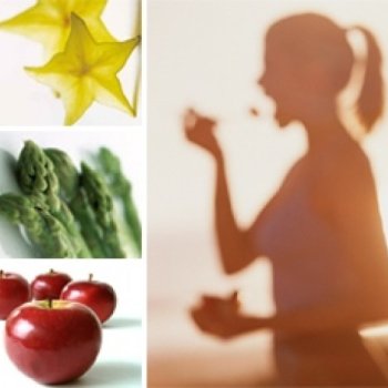 Formation Les clés de la nutrition